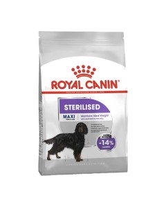 Royal Canin Maxi Sterilised Adult 12kg + &Upsilon;&gamma;&rho;ή &Tau;&rho;&omicron;&phi;ή 12x85gr &Delta;ώ&rho;&omicron;