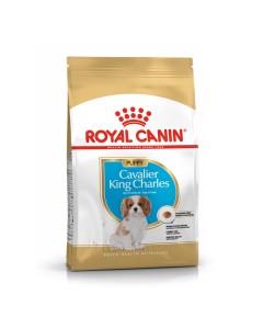 Royal Canin Cavalier King Charles Puppy 1.5kg