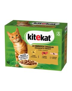 Kitekat Ανάμεικτες Γεύσεις σε Σάλτσα 12x85gr