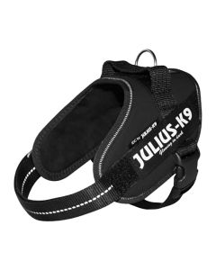 Julius-K9 &Sigma;&alpha;&mu;&alpha;&rho;ά&kappa;&iota; &Sigma;&kappa;ύ&lambda;&omicron;&upsilon; &Mu;&alpha;ύ&rho;&omicron; No2 71-96cm 28-40kg