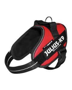 Julius-K9 &Sigma;&alpha;&mu;&alpha;&rho;ά&kappa;&iota; &Sigma;&kappa;ύ&lambda;&omicron;&upsilon; &Kappa;ό&kappa;&kappa;&iota;&nu;&omicron; No1 63-85cm 23-30kg