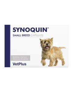 Synoquin Small Breed 30tabs
