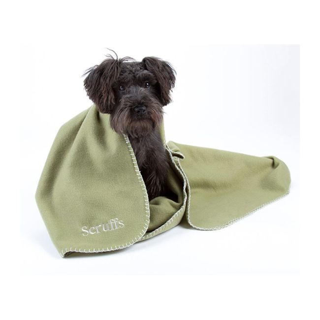 Scruffs Κουβέρτα Expedition Λαδί 100x75cm