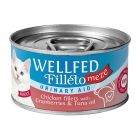 Wellfed Filleto Meze Urinary Aid Φιλετάκια Κοτόπουλο & Cranberries 70gr