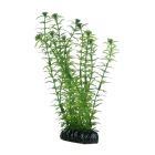 Hobby Πλαστικό Φυτό Lagarosiphon 20cm