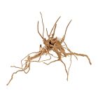 Hobby Ξύλινο Διακοσμητικό Finger Wood 20-30cm