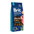 Brit Premium By Nature Sensitive Lamb & Rice 15kg