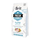 Brit Fresh Fish Dog Adult Large Muscles & Joints 12kg