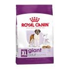 Royal Canin Giant Adult 15kg