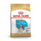 Royal Canin Cavalier King Charles Puppy 1.5kg