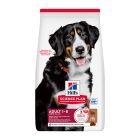 Hill's Science Plan Dog Adult Large με Αρνί & Ρύζι 14kg