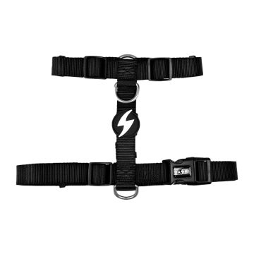 Dashi Σαμαράκι Σκύλου Back Μαύρο L 62-107cm