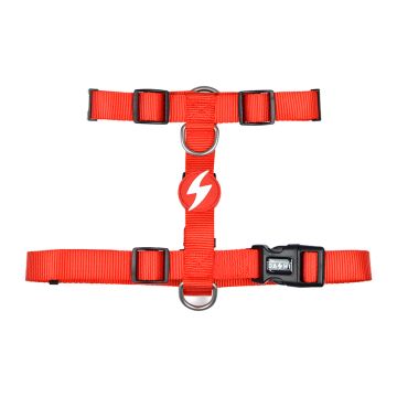 Dashi Σαμαράκι Σκύλου Back Κόκκινο XS 23-38cm