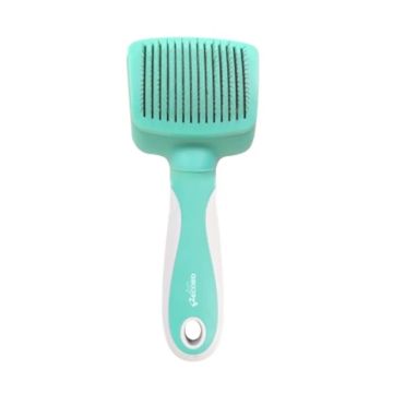 Record Αυτοκαθαριζόμενη Βούρτσα S 19x7.5cm