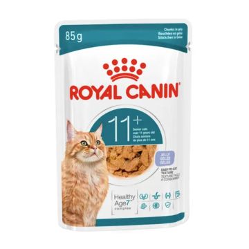 Royal Canin Ageing 11+ σε Ζελέ 85gr