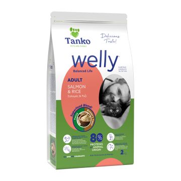 Welly Cat Adult Salmon & Rice 2kg