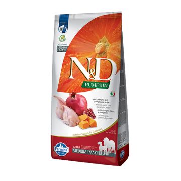 N&D Pumpkin Dog Adult Medium-Maxi με Ορτύκι, Κολοκύθα & Ρόδι 12kg