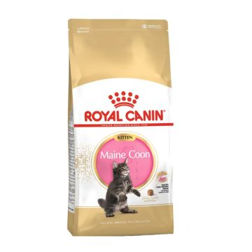 Royal Canin Maine Coon Kitten 2kg