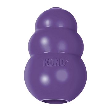 KONG Senior M