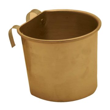 Κύπελο Παπαγάλου Νίκελ Β