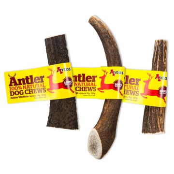 Antler Medium Κόκαλο Κέρατο 76gr-150gr (1τμχ)