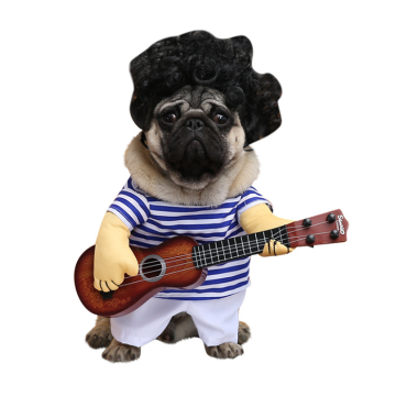 Pet Αποκριάτικη Στολή Μουσικός XL 40cm