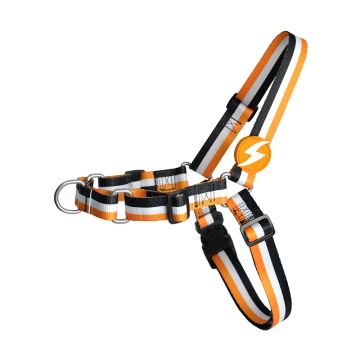 Dashi Σαμαράκι Σκύλου Stripes Orange & Black S 30-38cm