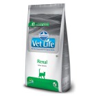 Vetlife Cat Renal με Κοτόπουλο 400gr