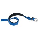 Ferplast Daytona Περιλαίμιο Σκύλου Μπλε M 2.5x45-53cm