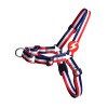 Dashi Σαμαράκι Σκύλου Stripes Red & Blue M 34-41cm