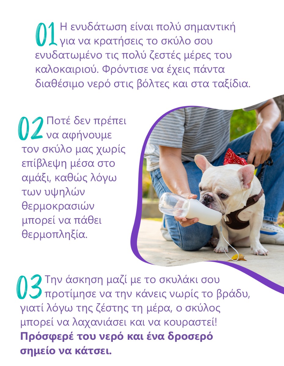 tips zestis