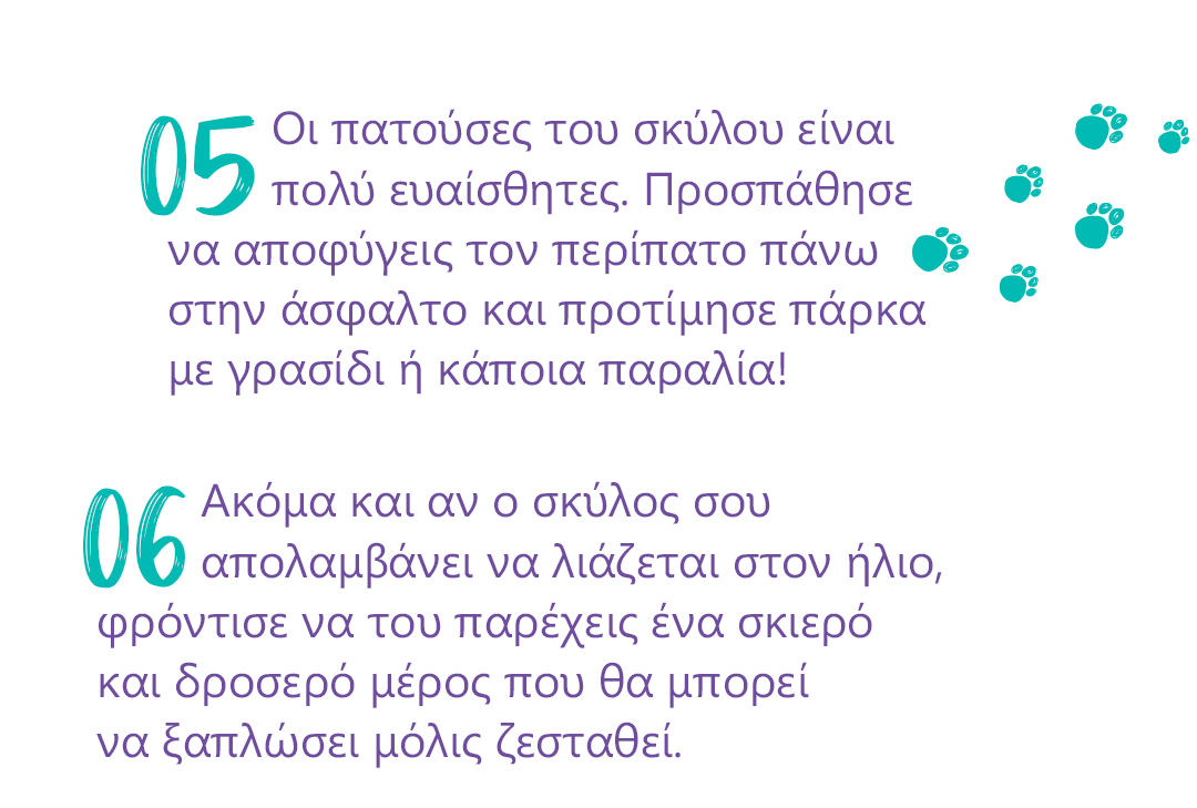 tips zestis