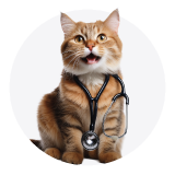 &Kappa;&lambda;&iota;&nu;&iota;&kappa;έ&sigmaf; &Tau;&rho;&omicron;&phi;έ&sigmaf; &Gamma;ά&tau;&alpha;&sigmaf;