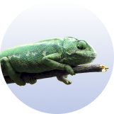 &Epsilon;&rho;&pi;&epsilon;&tau;ό