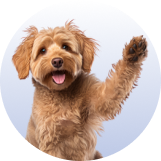 &Sigma;&kappa;ύ&lambda;&omicron;&sigmaf;