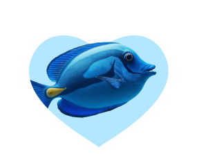 Category Menu - Fish Item